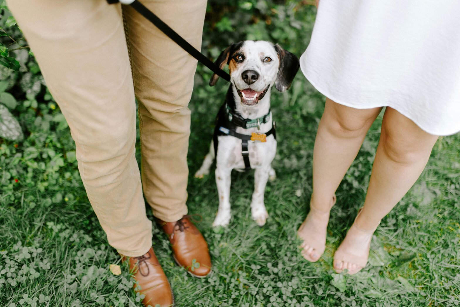 A dog sitting in between two standing people.