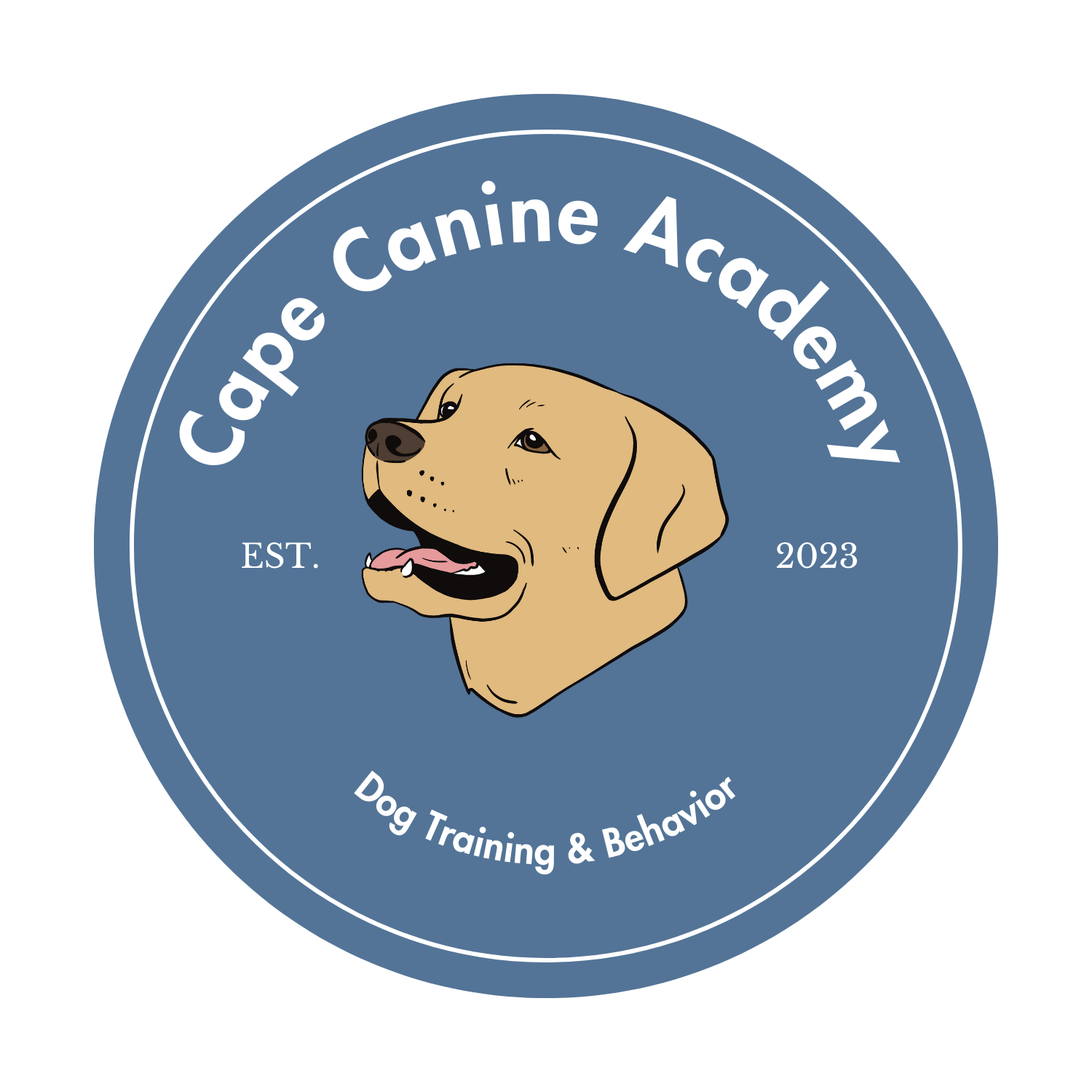 Dog Training Dog Behaviorist Cape Cod Dog Trainer